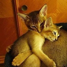 Схема вышивки «Мамина радість»