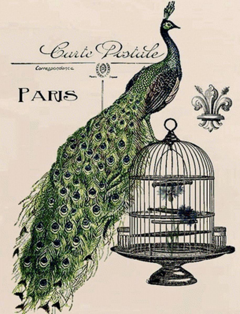 винтаж 2 - павлин - предпросмотр