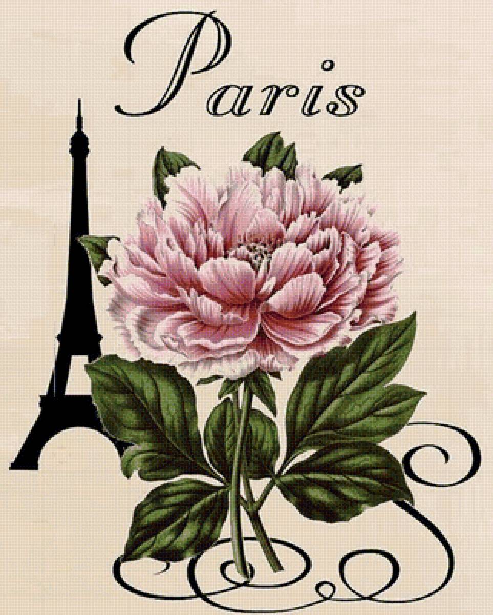 винтаж 4 - эйфелева башня. цветок - предпросмотр