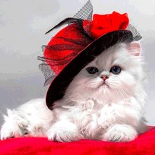 кошка в шляпе 2