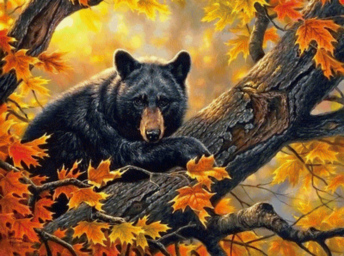 медведь - животные - предпросмотр