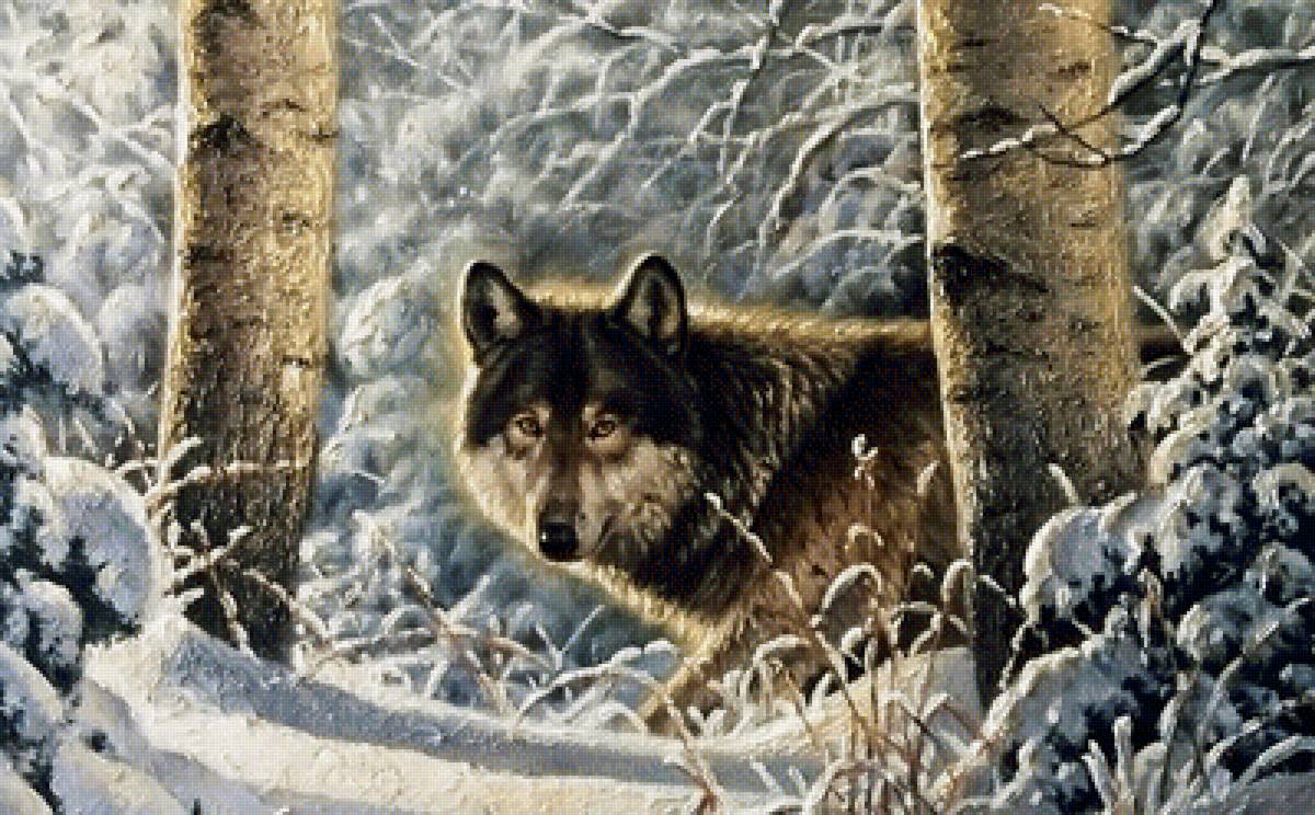 волк - животные - предпросмотр