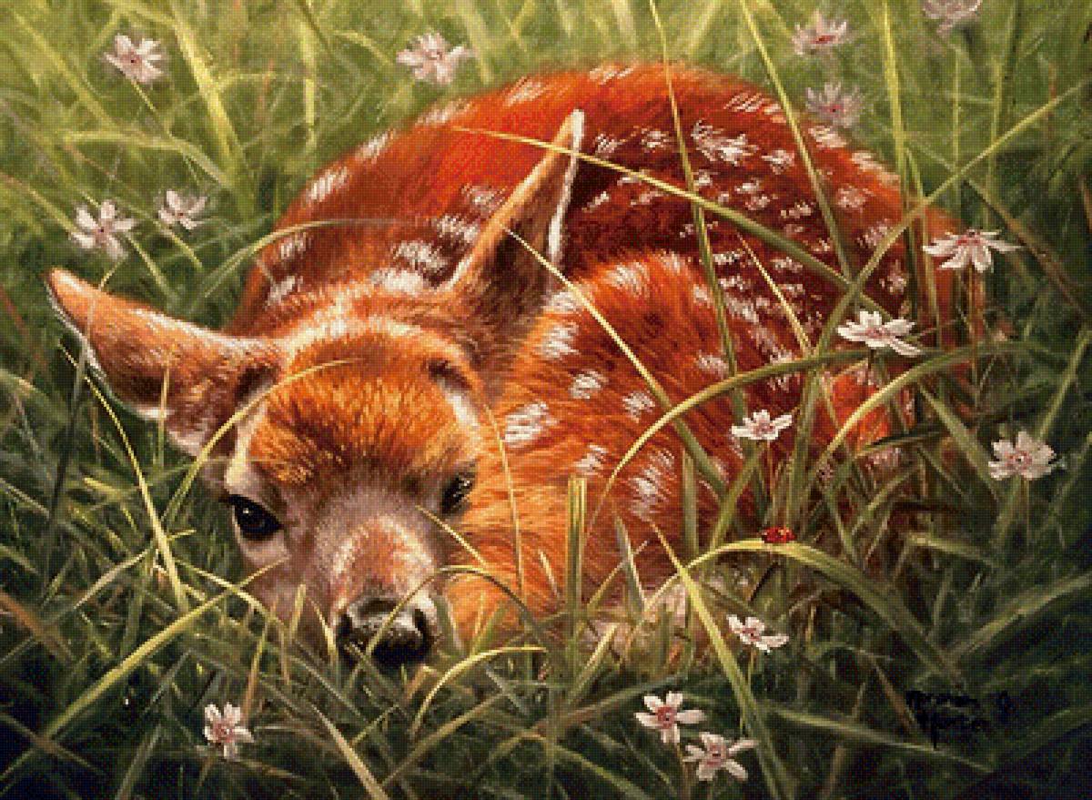 олененок - животные - предпросмотр