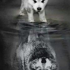 Схема вышивки «волченок»