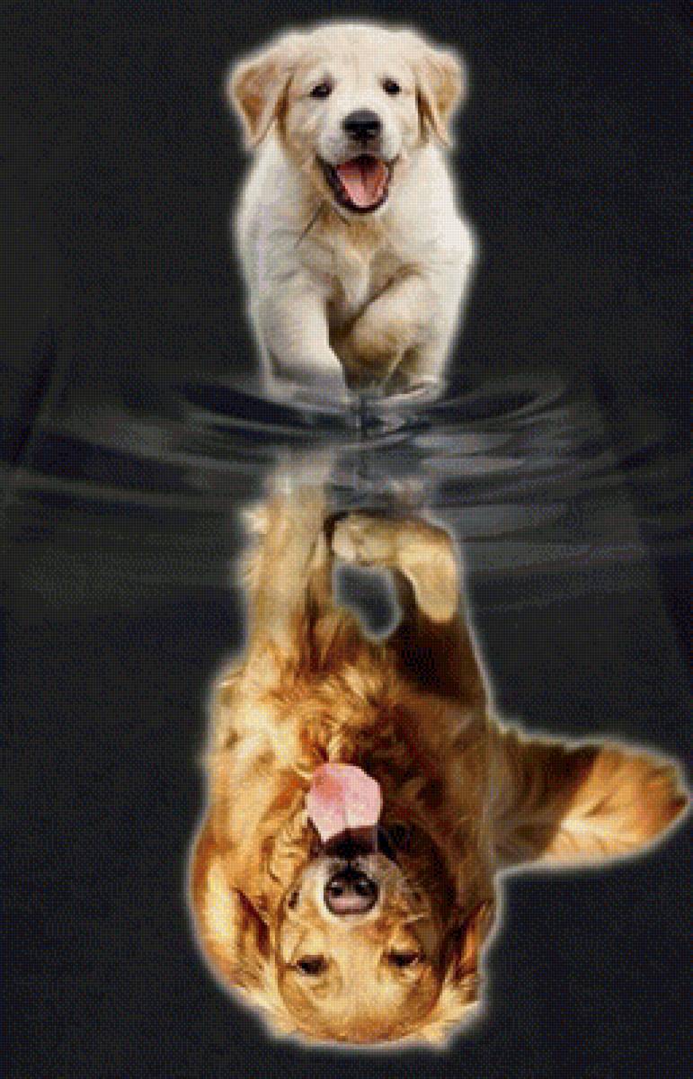 щенок - животные - предпросмотр