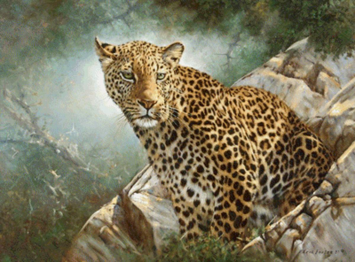 №1691990 - дикие животные - предпросмотр