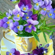 Схема вышивки «Фіалки»