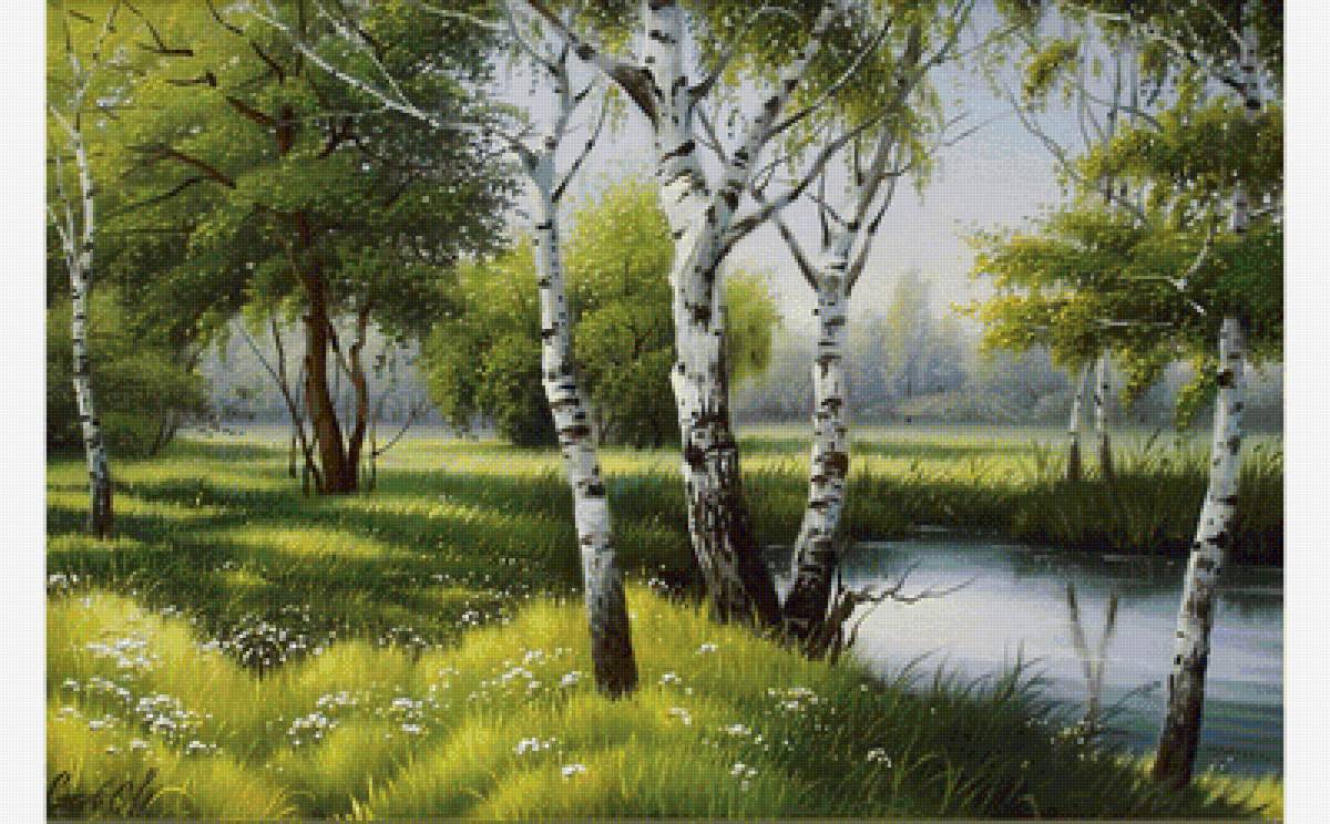 Пейзаж - озеро, березы, лес - предпросмотр