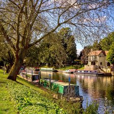 Схема вышивки «№1692147»