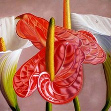 цветочная композиция