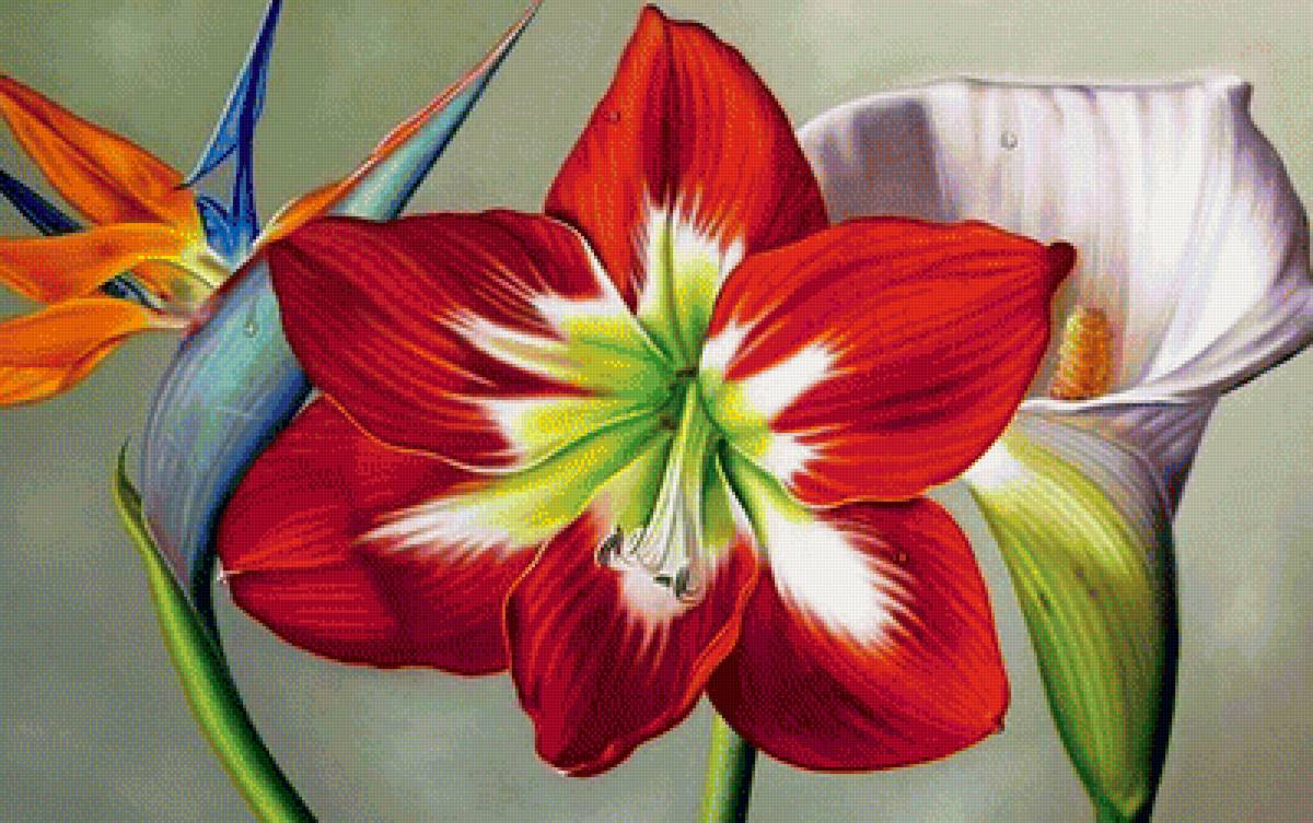 цветочная композиция - цветы - предпросмотр