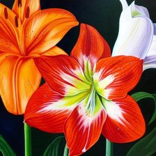 цветочная композиция