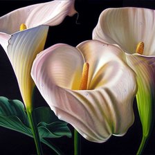 Схема вышивки «калы»