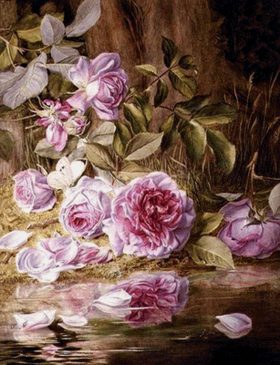 розы - цветы - предпросмотр