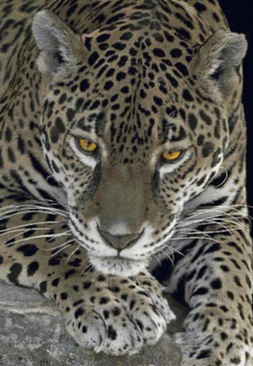 №1692188 - предпросмотр