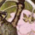 Предпросмотр схемы вышивки «№1692198»