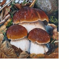 Схема вышивки «№1692235»