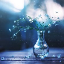 Белые цветочки