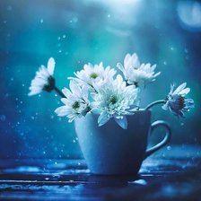 Цветы в чашке