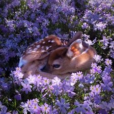 Схема вышивки «Оленятко»