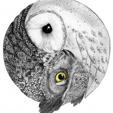 Схема вышивки «Сови»