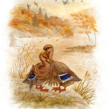 Схема вышивки «Утки»