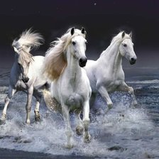 Схема вышивки «Кони»