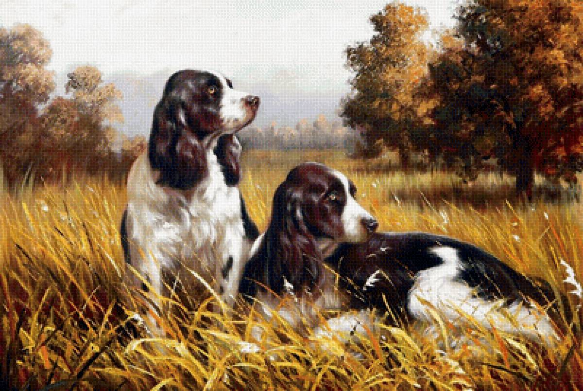 №1693113 - предпросмотр