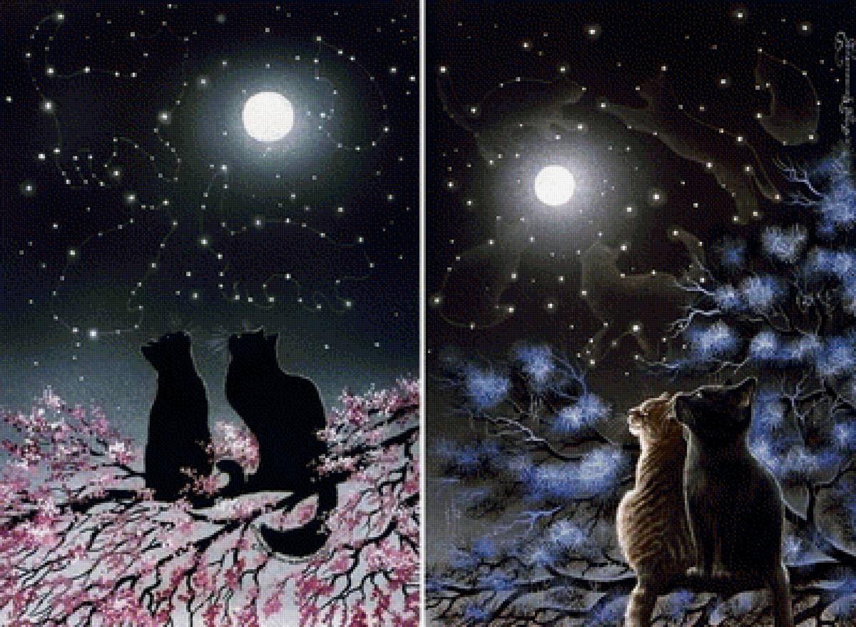 №1693128 - предпросмотр