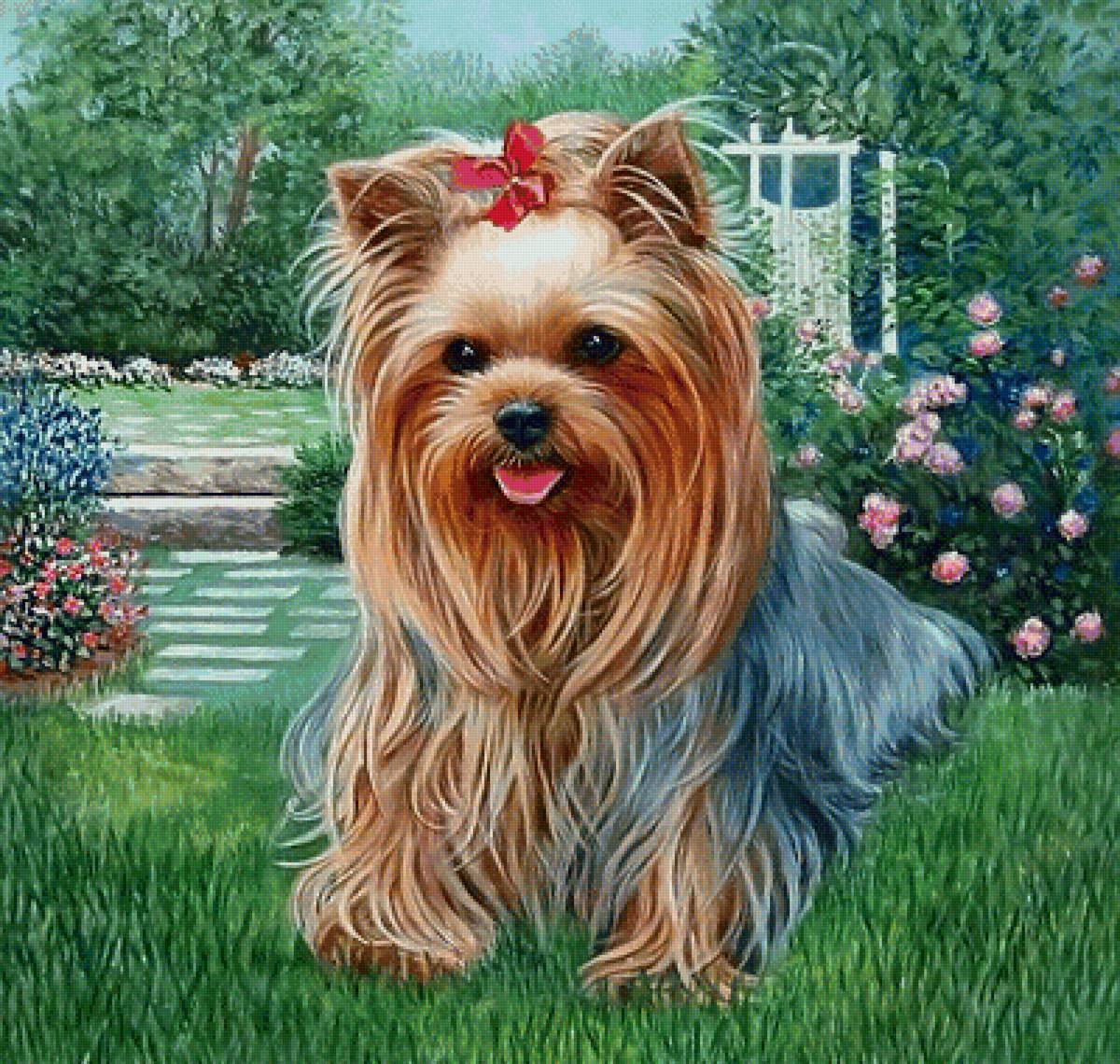 №1693134 - предпросмотр