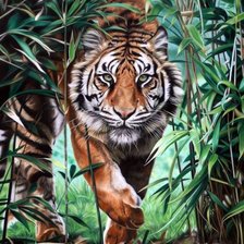 Схема вышивки «Тигр»