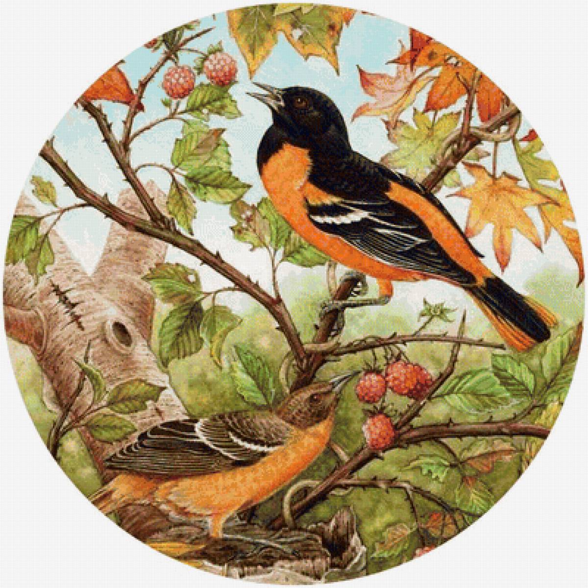 Птицы на ветке - предпросмотр