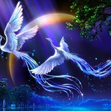 Схема вышивки «птица счастья»