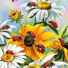 Схема вышивки «ромашки»