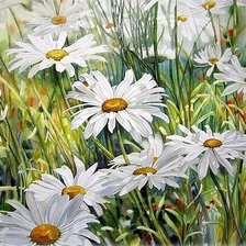 Схема вышивки «ромашковое поле»