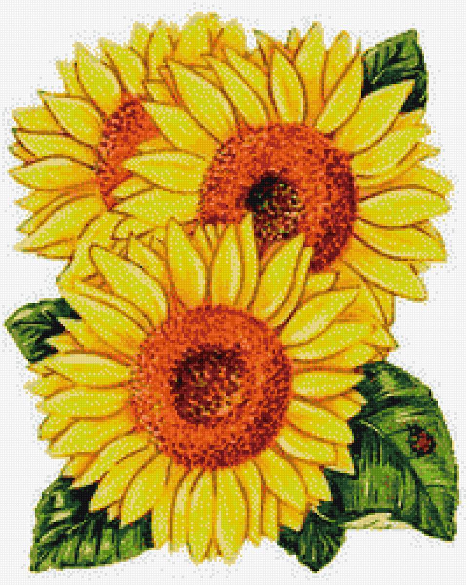 ПОДСОЛНУХИ - подсолнухи, цветы - предпросмотр