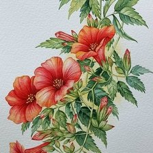 Схема вышивки «Цветы»