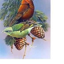 Схема вышивки «№1694820»