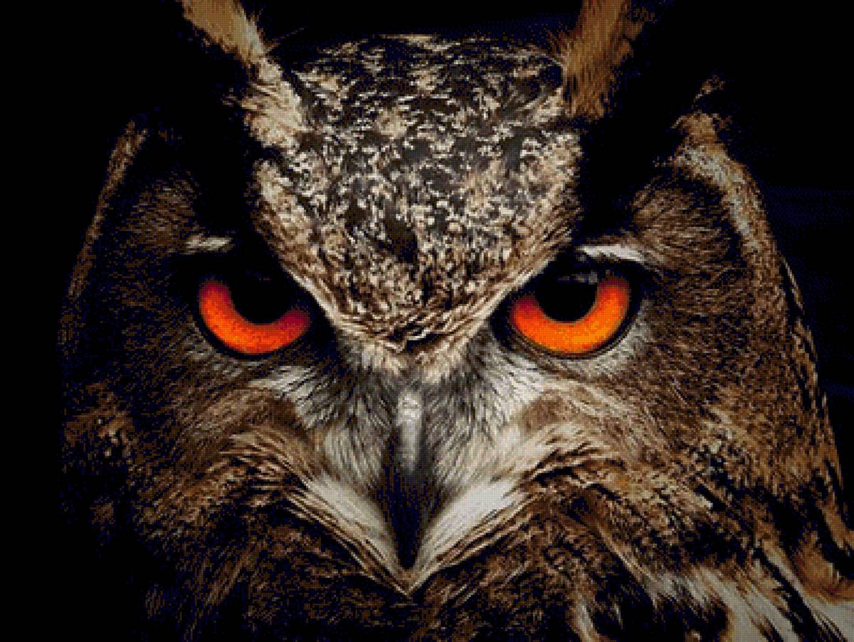 совушка - предпросмотр