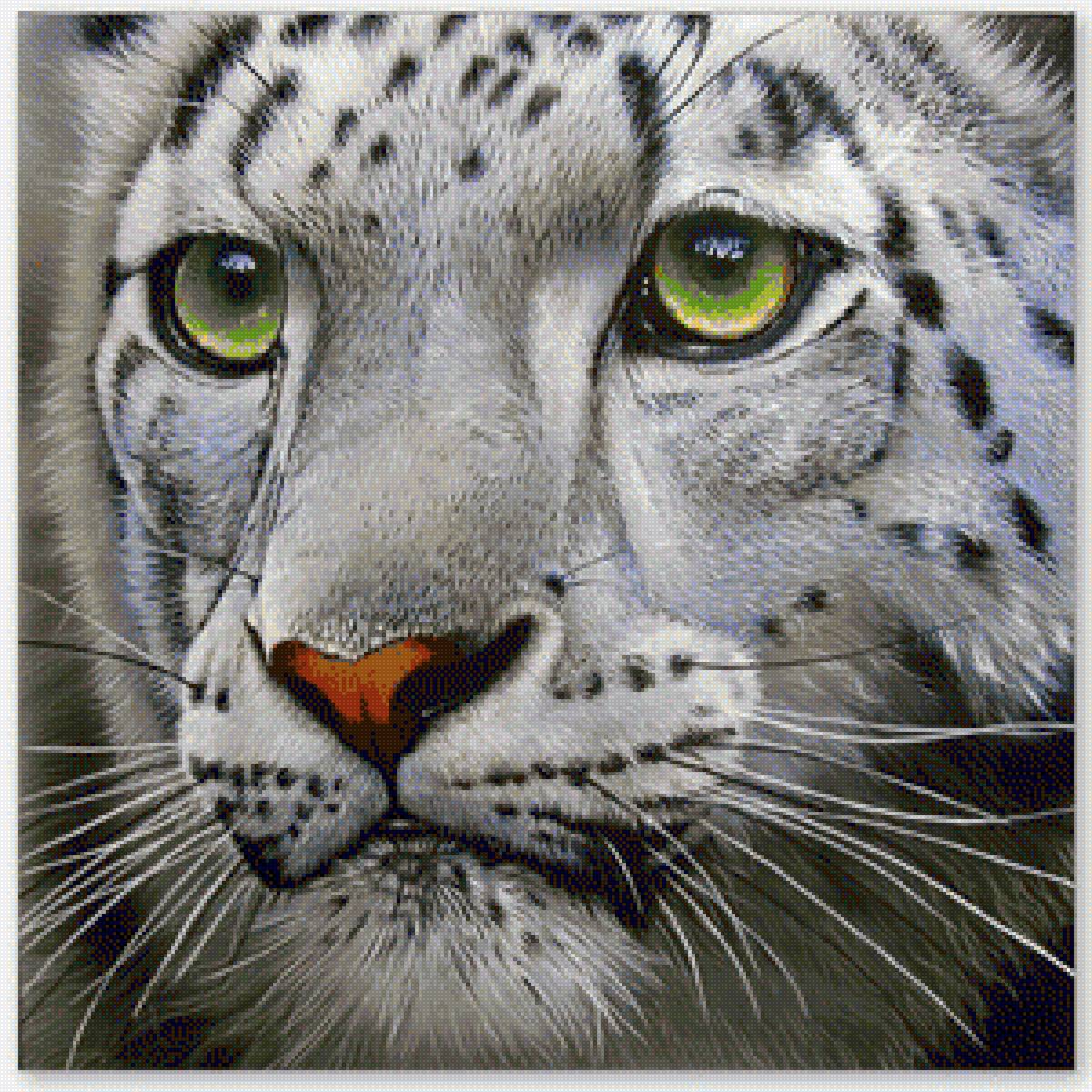 №1694907 - предпросмотр