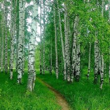 Схема вышивки «№1694926»