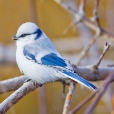 Схема вышивки «№1695049»