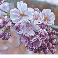 Схема вышивки «№1695221»