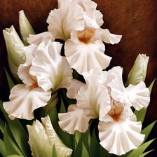 Схема вышивки «№1695508»