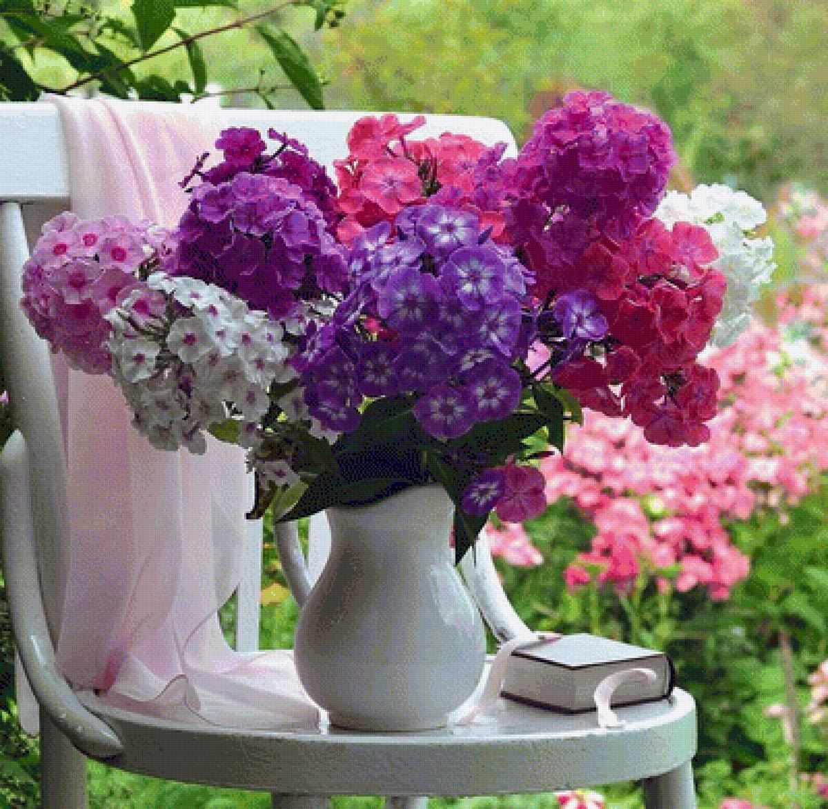 Флоксы - цветы - предпросмотр