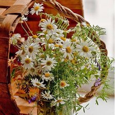 Схема вышивки «Натюрморт с ромашками»