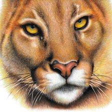 Схема вышивки «№1696064»