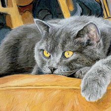 Схема вышивки «Кот»