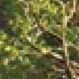 Предпросмотр схемы вышивки «Ручей в лесу» (№1697083)