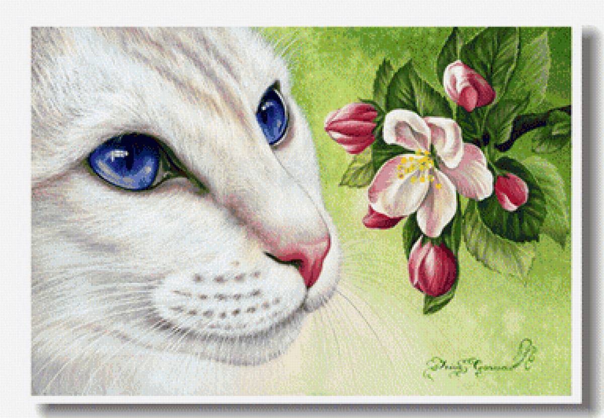 mačka,kvety - предпросмотр